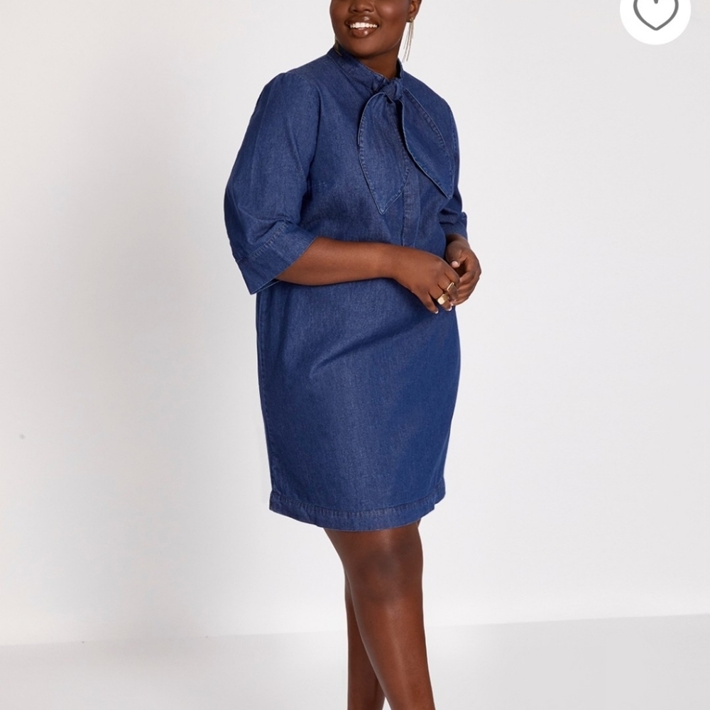Tie Neck Denim Dress